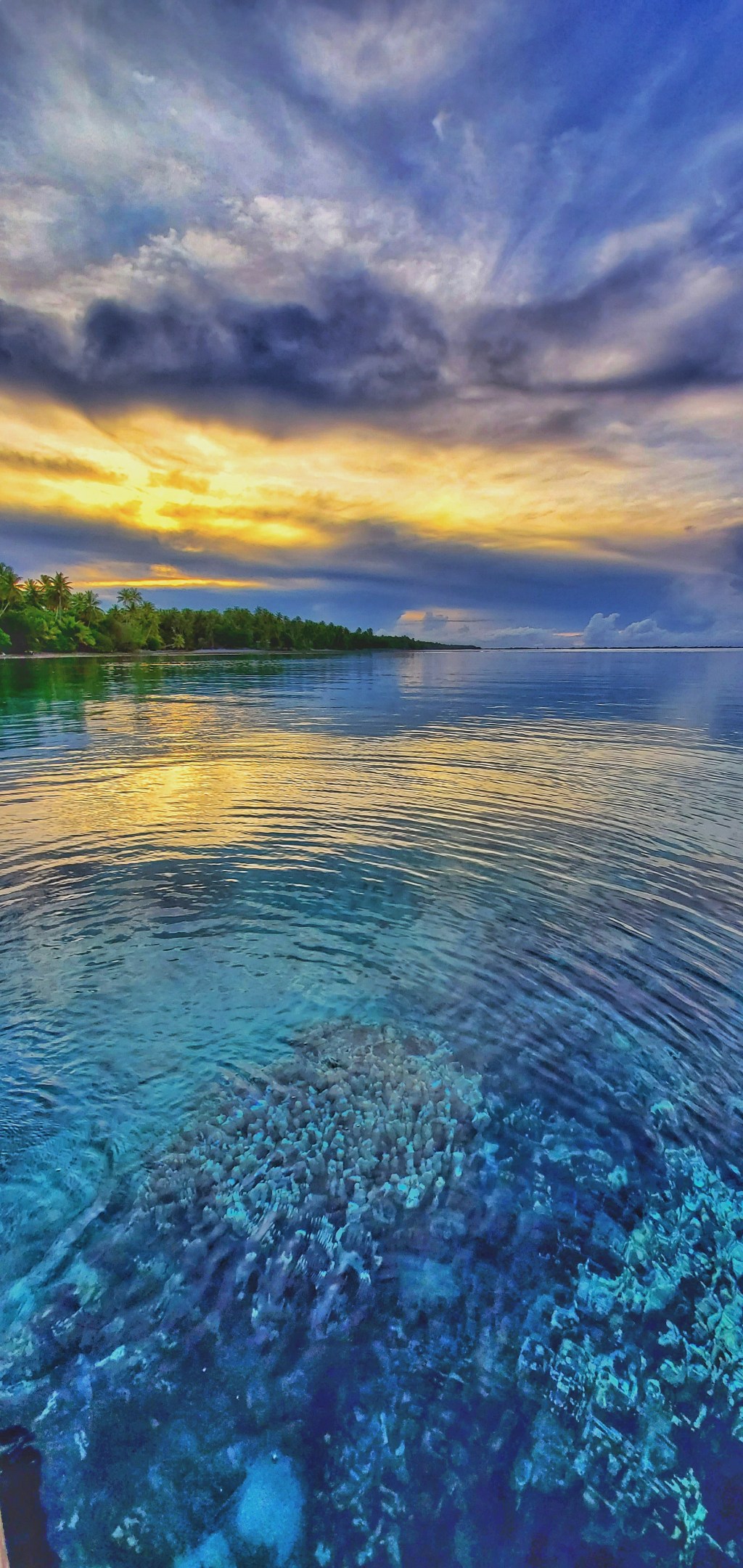 Infinity Consul, CryptowerX, and Helios Health Group are now part of the Pacific Ocean Logistics&nbsp;family!